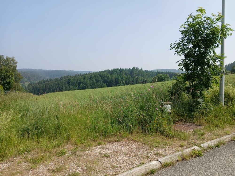 Vente Terrain Terrain à vendre de 950,00 m² DUNIERES (43) Dunieres