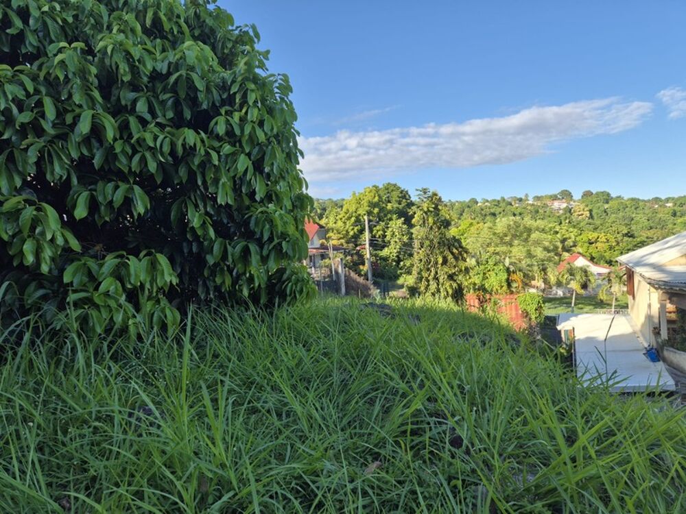 Vente Maison Pépites du mois. Deux Appartements plus terrain 800 m², vue panoramique vers les Saintes, à vendre 3 pièces TROIS RIVIERES (971) Trois rivieres