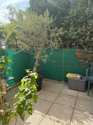  Appartement � vendre 2 pi�ces 45 m�