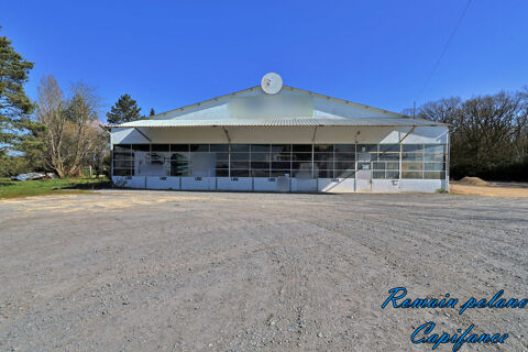 Local/bureau de 760m² à vendre MEREAU (18) 132000 18120 Mereau