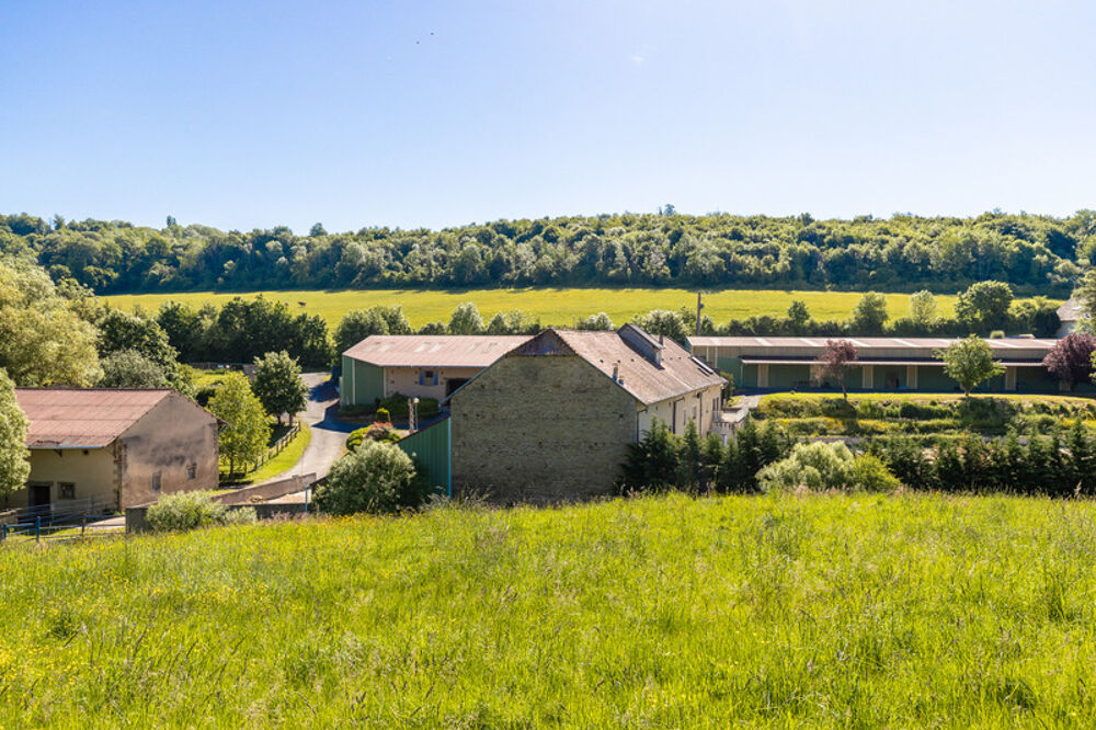 PROPRIETE EQUESTRE AVEC APPARTEMENT