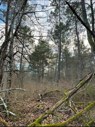  Terrain � vendre 8459 m�