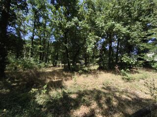  Terrain � vendre 2307 m�