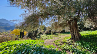  Terrain  vendre 567 m