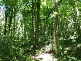  Terrain � vendre 8000 m�