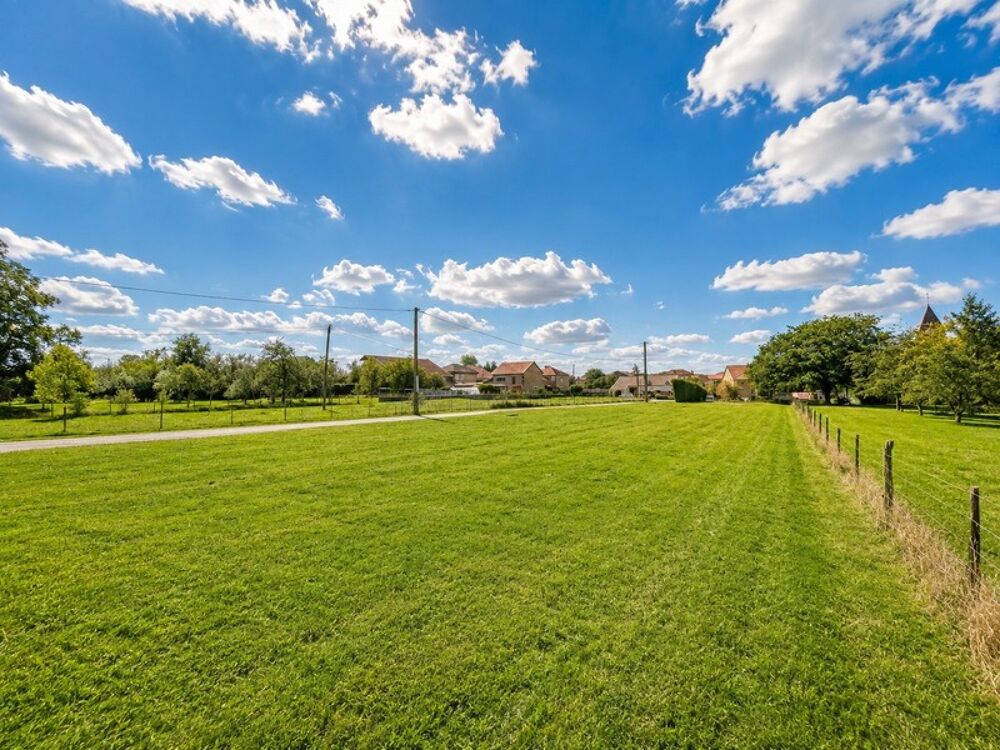 Vente Terrain Terrain constructible 1019 m² – Viabilisé – Proche Lorraine TGV Pont a mousson