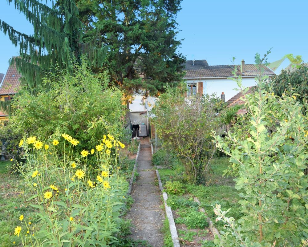 Vente Maison Maison à vendre 8 pièces ENSISHEIM (68) Ensisheim