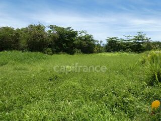  Terrain à vendre 1811 m²