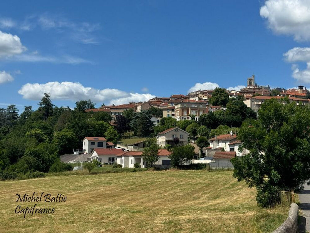PROPRIÉTÉ DE CARACTÈRE AU COEUR DE SAINT-GALMIER
