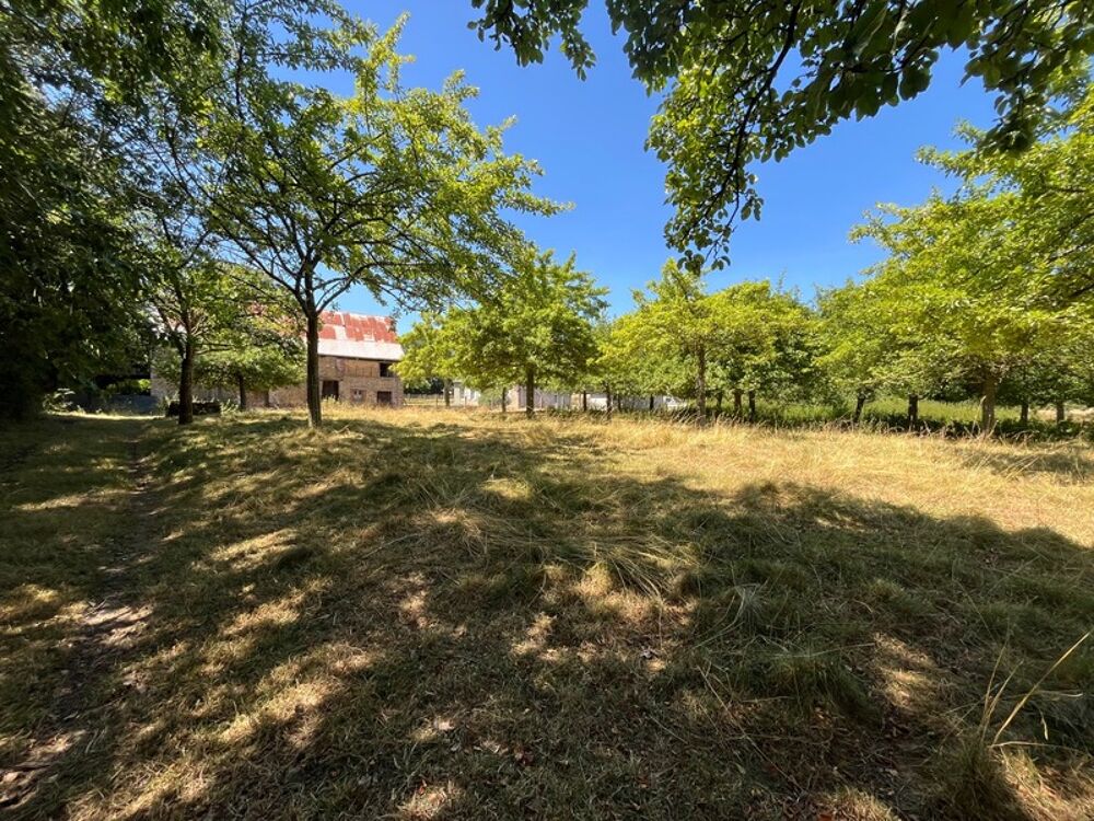 Vente Maison Havre de paix : Maison en pierre rénovée et son verger de 150 pommiers - Rare sur le marché Lassy
