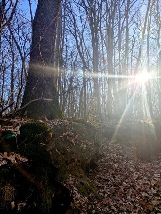  Terrain � vendre 1886 m�