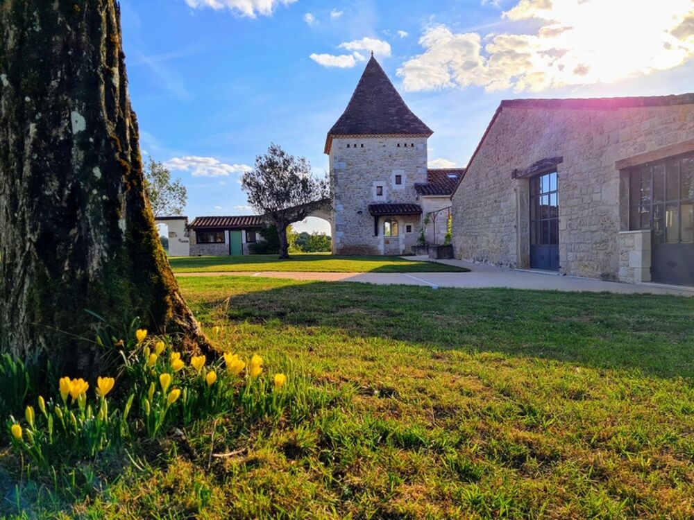  vendre  Proprit/chteau Mauroux (46700)