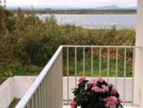  Appartement � louer 2 pi�ces 40 m�