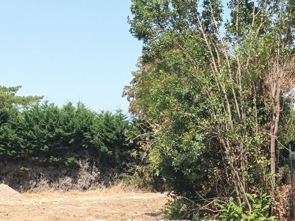 Vente Terrain Terrain Nieul Sur Mer 1261 m2 Nieul sur mer