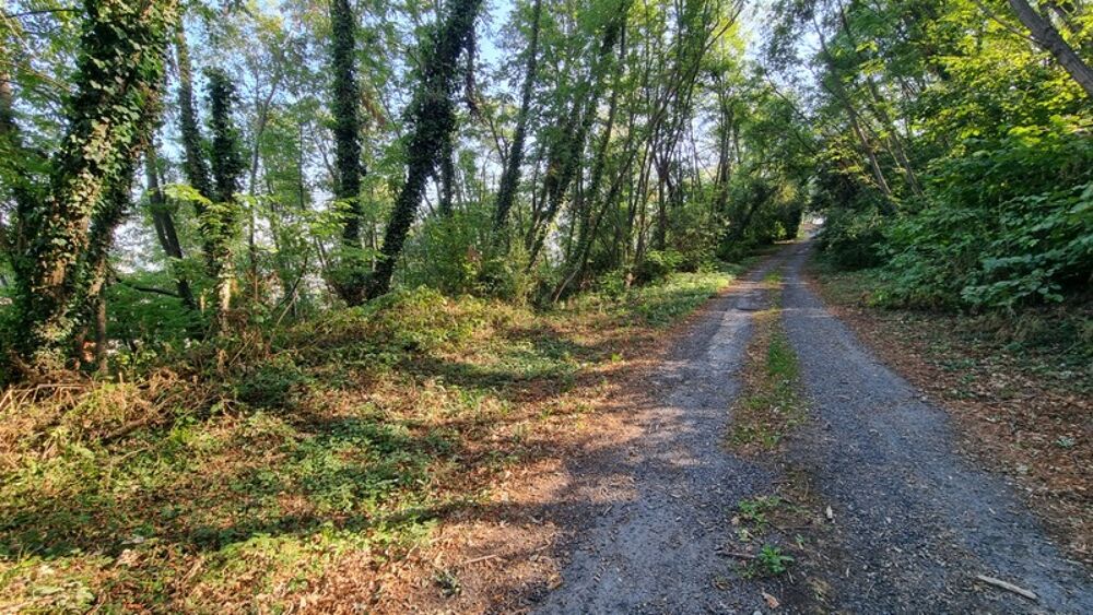 Vente Terrain Brive la gaillarde - Proche centre ville - Terrain Constructible Brive la gaillarde