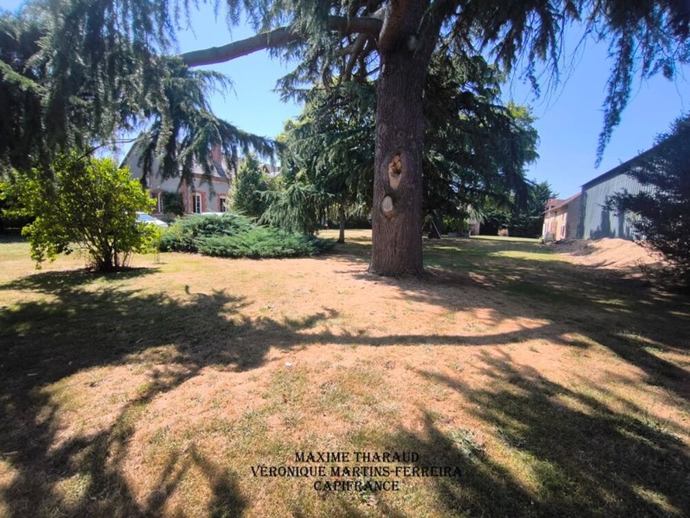 À vendre  Propriété agricole de charme à Thenioux (18)
