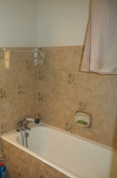  Appartement � louer 1 pi�ce 26 m�