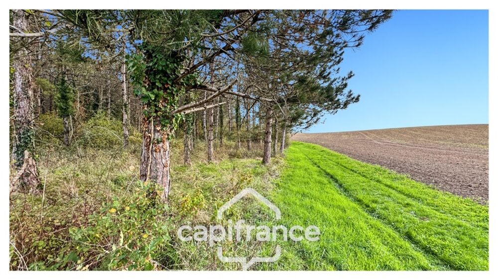 Vente Maison Rare sur le secteur ! Bergerie à rénover avec plus de 4,2 hectares de terrain – Monflanquin Monflanquin