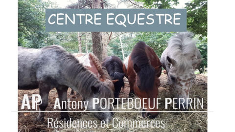 Centre Bretagne - CENTRE EQUESTRE 116812 56000 Vannes