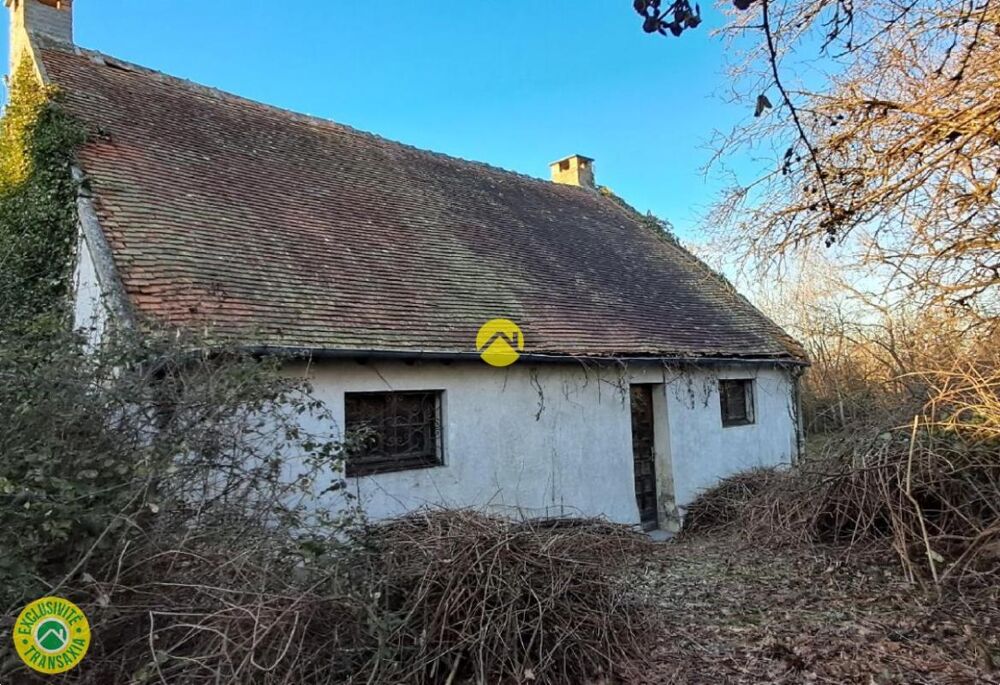 Maison avec grand jardin