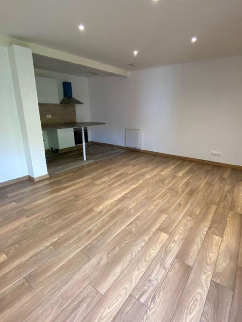 Location Appartement Studio - Chutes la Vie - Bd DAHDAH 13004- refait neuf Marseille 4