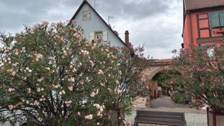  Maison � vendre 6 pi�ces 173 m�