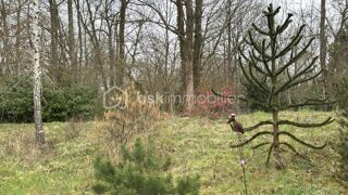  Terrain � vendre 96594 m�