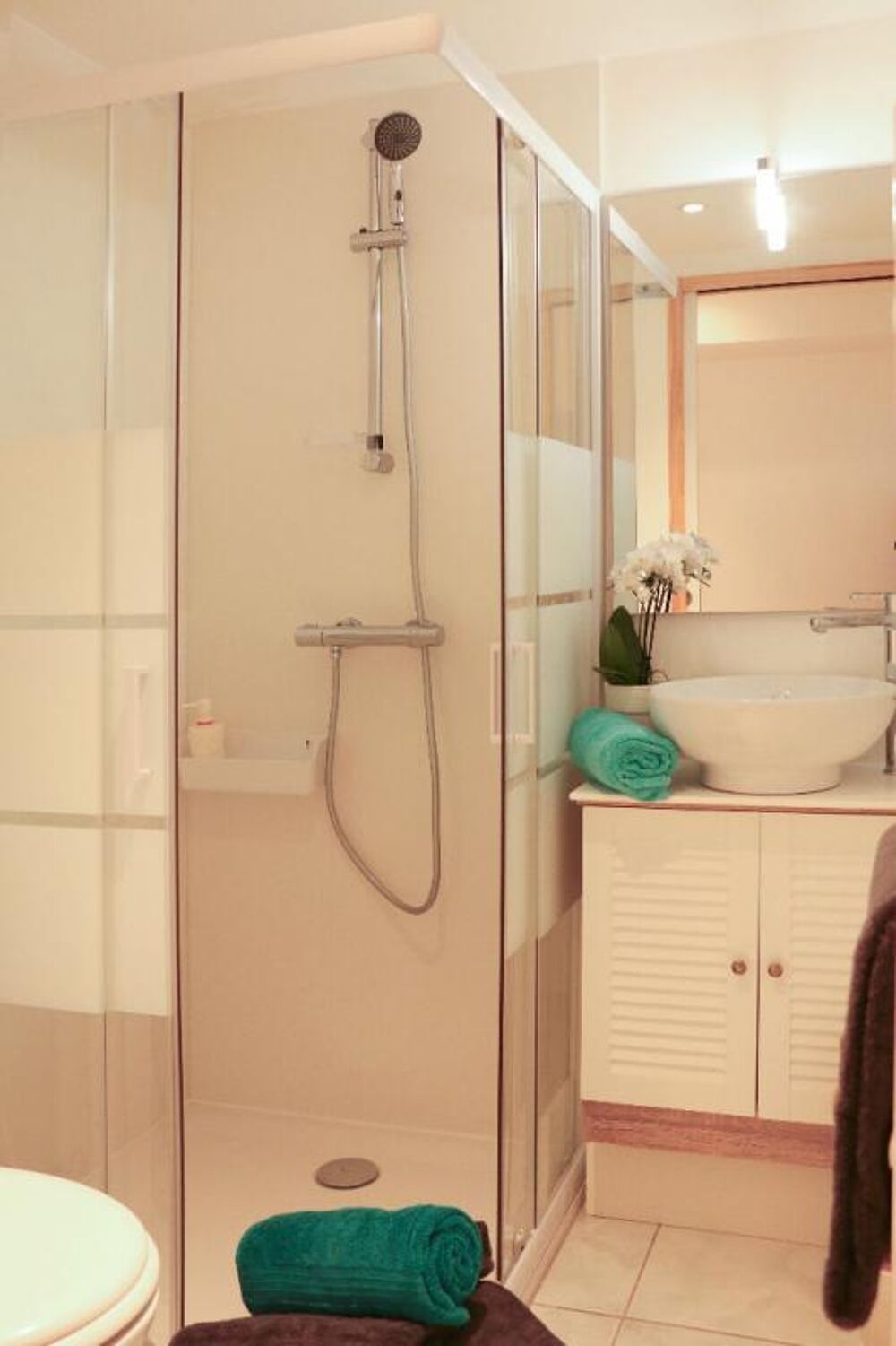  vendre  Maison Mortagne-sur-Svre (85290)
