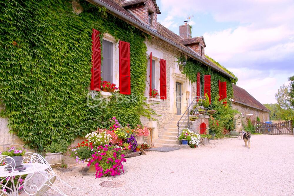 Rare. Domaine en pierre XIIe siècle, 5,5 ha, rivière, potentiel exceptionnel · Aube