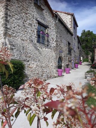  Propriété/château à vendre 14 pièces 300 m²