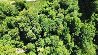  Terrain à vendre 5625 m²