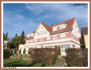  Maison à vendre 15 + pièces 742 m²
