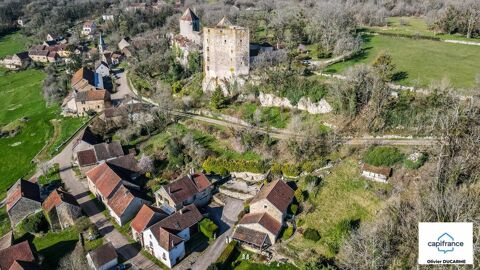   Murs et fonds : gite, chambres d'hôtes et table d'hôtes à vendre CHAUDENAY LE CHATEAU (21) 