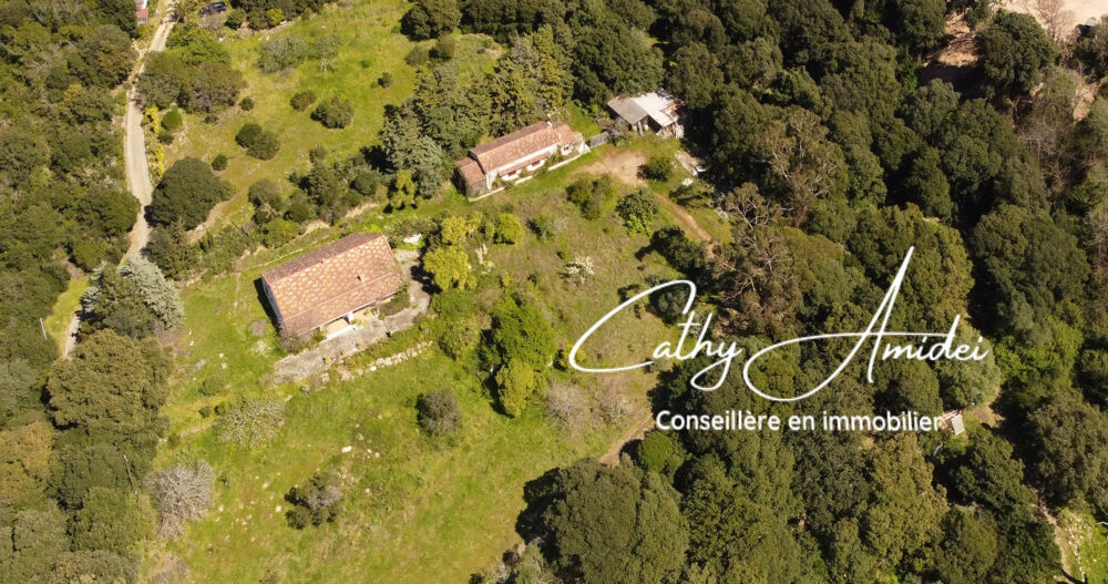 Vente Propriété/Château SAGONE (Corse) : Propriete à vendre, maison T4 + dépendance avec 2 appartements T1, sur terrain plat de 5000m2 Sagone