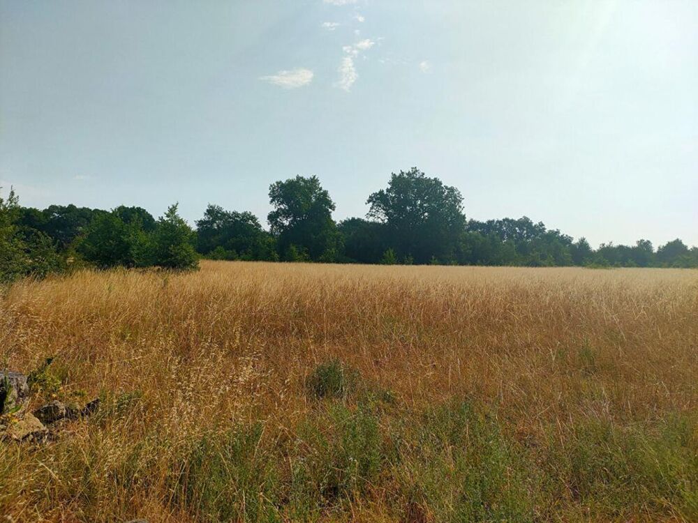 Vente Terrain TERRAIN AGRICOLE 5.60 HECTARES Sainte eulalie