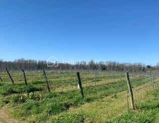  Propri�t�/ch�teau � vendre 5 pi�ces 136 m�