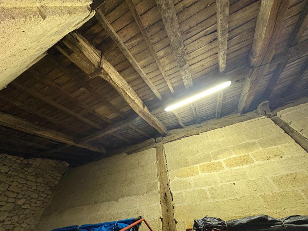 RARE : Devenez propriétaire de votre "Micro-Château" en AOC Saint-Émilion