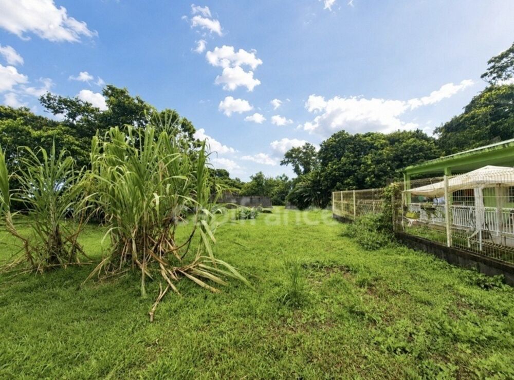 Vente Terrain A vendre - Terrain plat de 729 m² – Ajoupa-Bouillon – Secteur Adinet L ajoupa bouillon