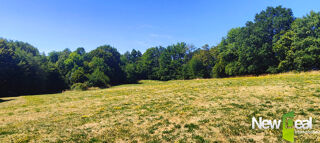  Terrain à vendre 10091 m²