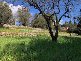  Terrain � vendre 1066 m�