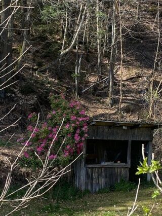  Maison � vendre 5 pi�ces 107 m�