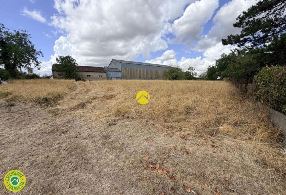 Vente Terrain Terrain constructible 4190 m² Chateauneuf sur cher