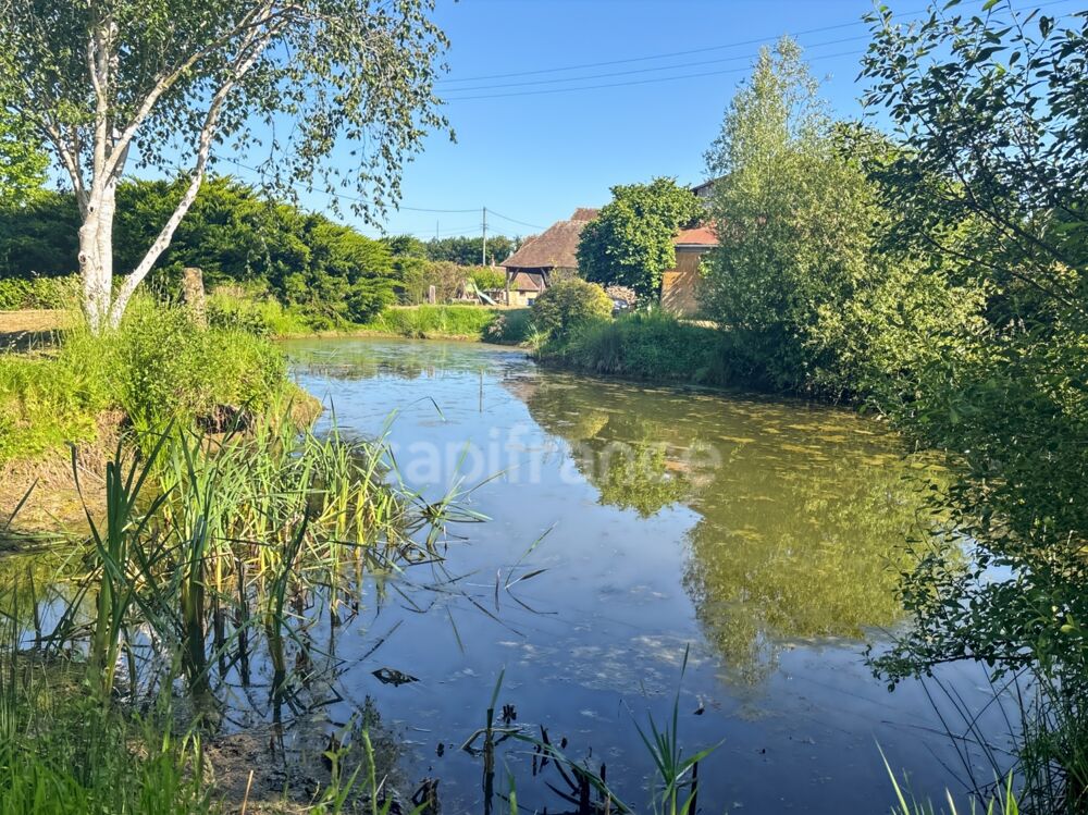 A vendre SAINT JEAN DASSÉ Maison de caractère avec dépendances sur 2,5 hectares