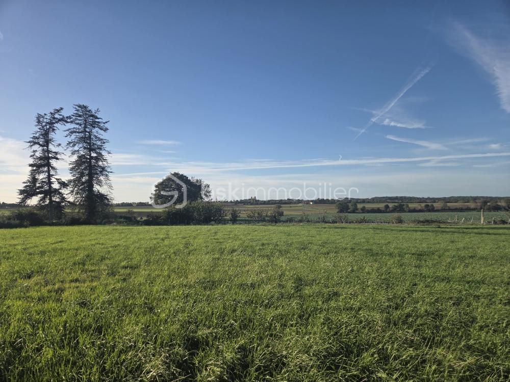 Vente Terrain Terrain 1350m2 Xanton chassenon