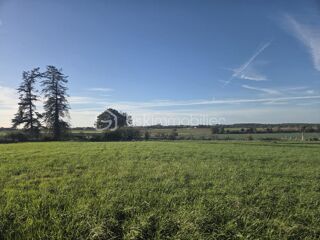Vente Terrain Terrain 1350m2 Xanton chassenon
