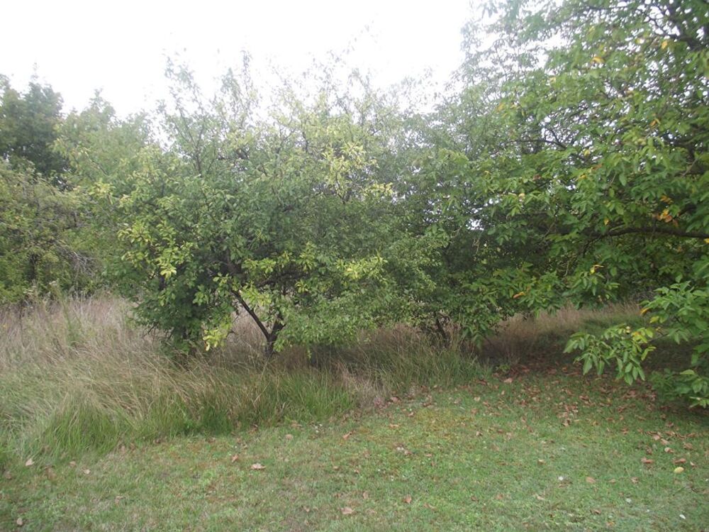 Vente Terrain Terrain constructible Chavanges