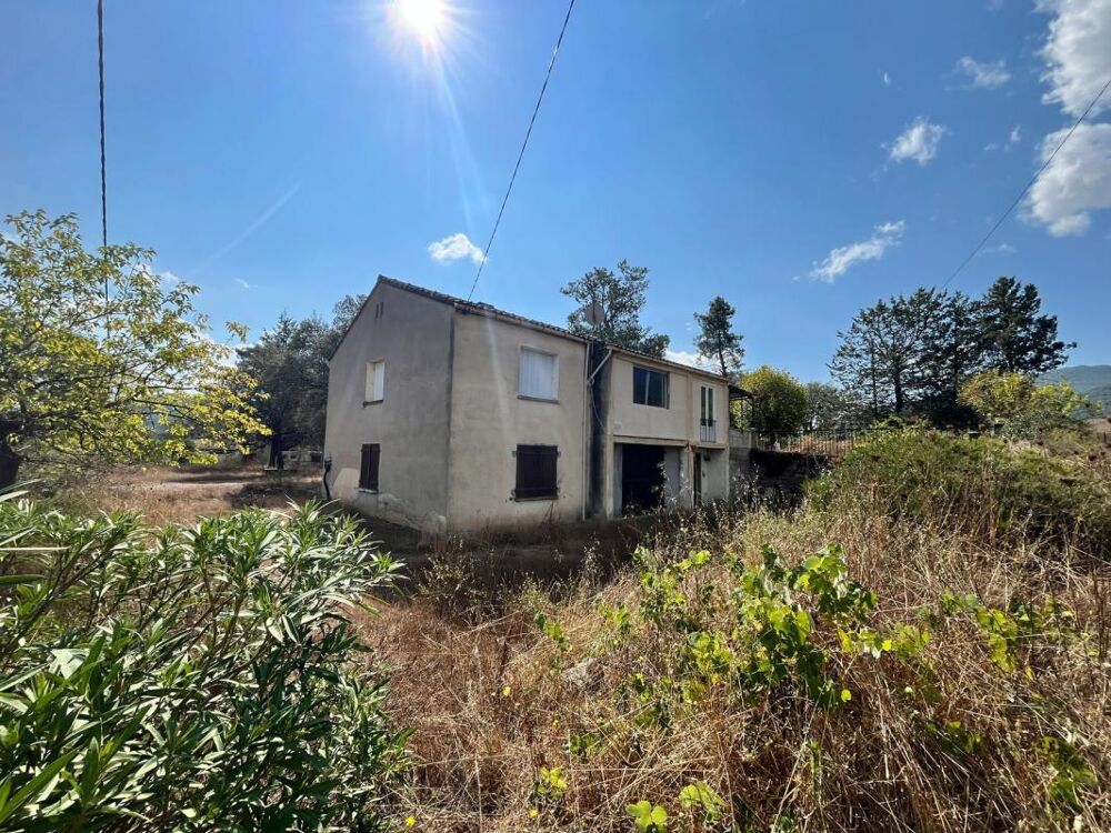 Vente Maison Maison T9 de 181 m² sur grand terrain Moltifao