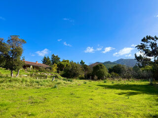  Propri�t�/ch�teau � vendre 8 pi�ces 193 m�