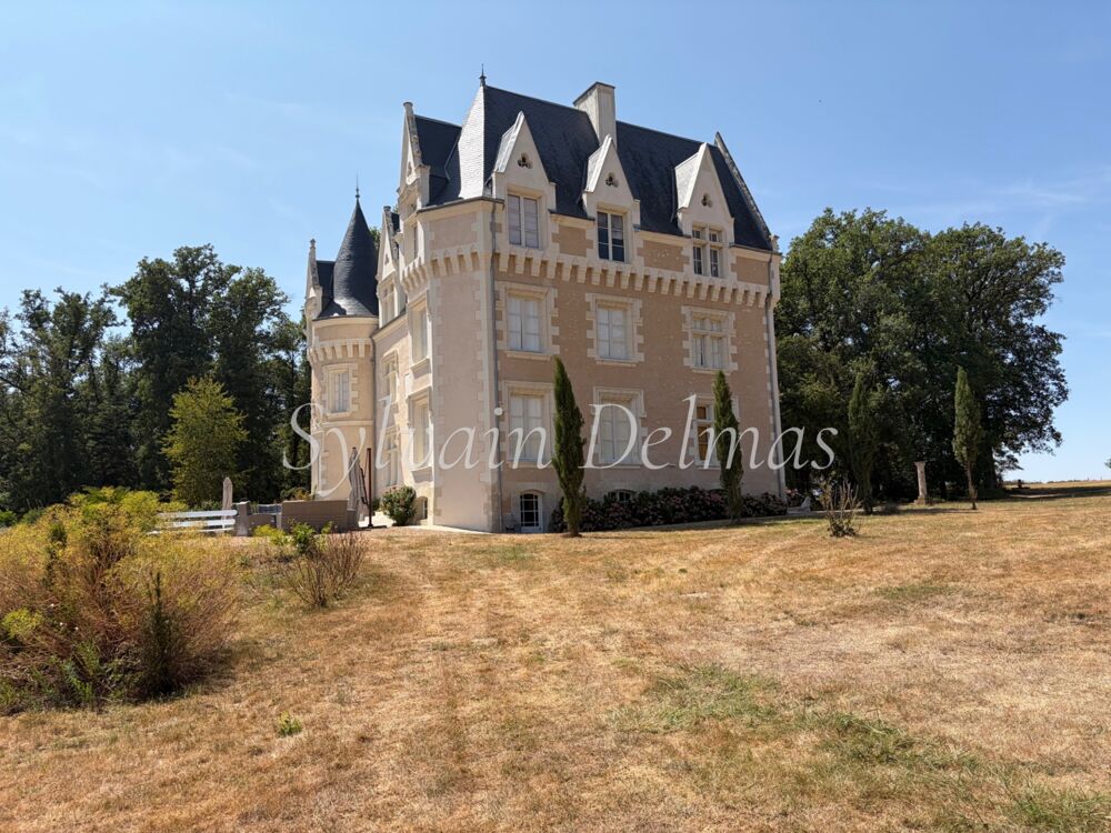 à vendre  Propriété/château Loches (37600)