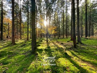  Terrain  vendre 666 m